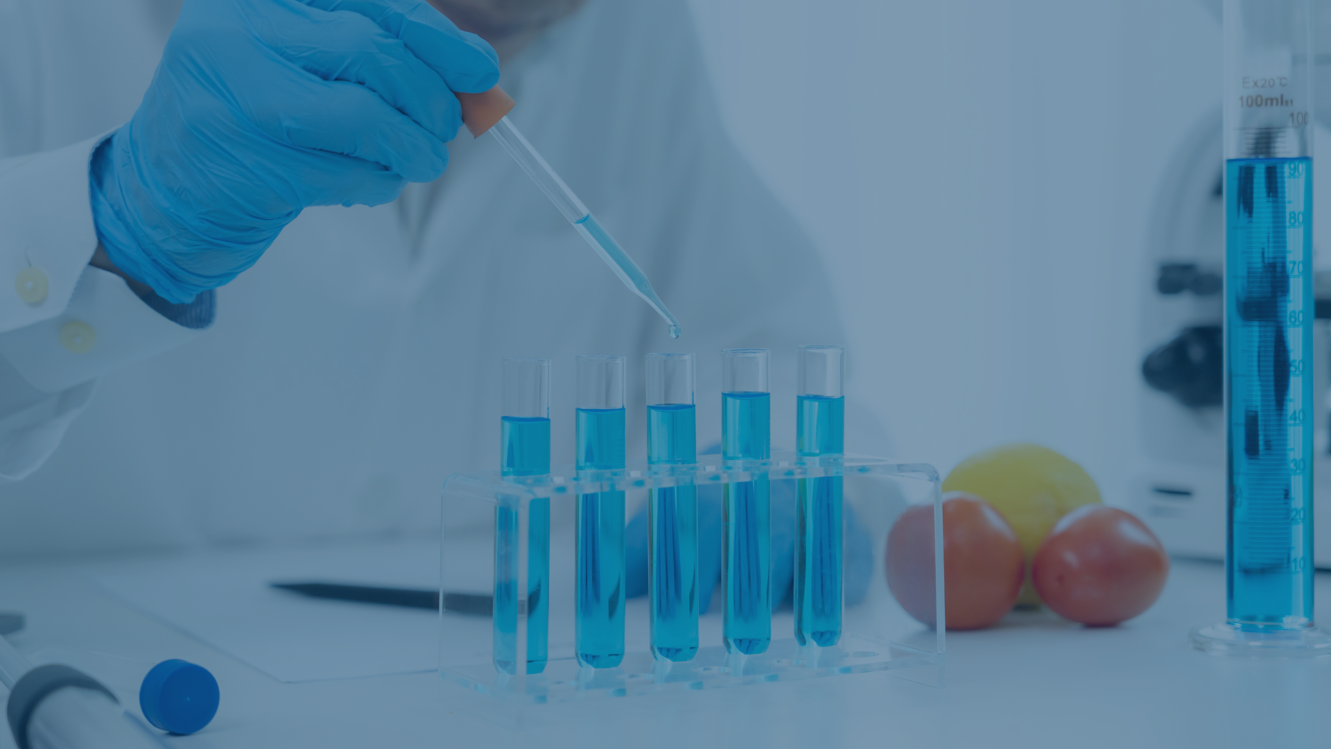 Johor Biotech - Pertumbuhan Bioekonomi Johor | Johor Biotech Malaysia | Johor Biotech Agency | Agensi Bioteknologi Johor | Bioteknologi Johor Darul Ta’zim | Inisiatif Bioteknologi Johor | Pembangunan Bioteknologi Johor | Ekosistem Bioteknologi Johor | Pelaburan Bioteknologi Johor | Penyelidikan & Pembangunan Bioteknologi | R&D Bioteknologi Malaysia | Inovasi Bioteknologi Johor | Teknologi Bioindustri Johor | Bioteknologi Pertanian Johor | Bioteknologi Makanan Johor | Bioteknologi Kesihatan Johor | Bioekonomi Johor | Bioekonomi Malaysia | Pusat Bioteknologi Johor | Sokongan Industri Bioteknologi | Pemindahan Teknologi Bioteknologi | Komersialisasi Bioteknologi | Startup Bioteknologi Johor | PKS Bioteknologi Johor | Dana & Geran Bioteknologi | Pembangunan Industri Bio | Rantaian Nilai Bioteknologi | Hab Bioteknologi Selatan Malaysia | Bioteknologi Lestari Johor | Inovasi Sains Hayat Johor | Sains Hayat Malaysia | Penyelidikan Saintifik Johor | Kerjasama Industri & Akademia | Pemerkasaan Bioindustri | Teknologi Hijau & Bioteknologi | Bioteknologi Marin Johor | Bioteknologi Perladangan | Bioteknologi Akuakultur Johor | Bioteknologi Halal | Keselamatan Makanan Bioteknologi | Pembangunan Modal Insan Bioteknologi | Latihan & Inkubator Bioteknologi | Dasar Bioteknologi Johor | Agenda Inovasi Johor | Transformasi Ekonomi Johor | Bioteknologi Berimpak Tinggi | Teknologi Mampan Johor | Penyelidikan Berasaskan Inovasi | Agensi Pembangunan Bioteknologi | 柔佛生物科技机构 | 柔佛生物科技发展 | 马来西亚生物科技 | 柔佛生物经济 | 生物科技创新 | Johor Biotechnology Agency | Biotechnology Development Johor | Malaysia Biotechnology | Johor Bioeconomy | Biotechnology Innovation