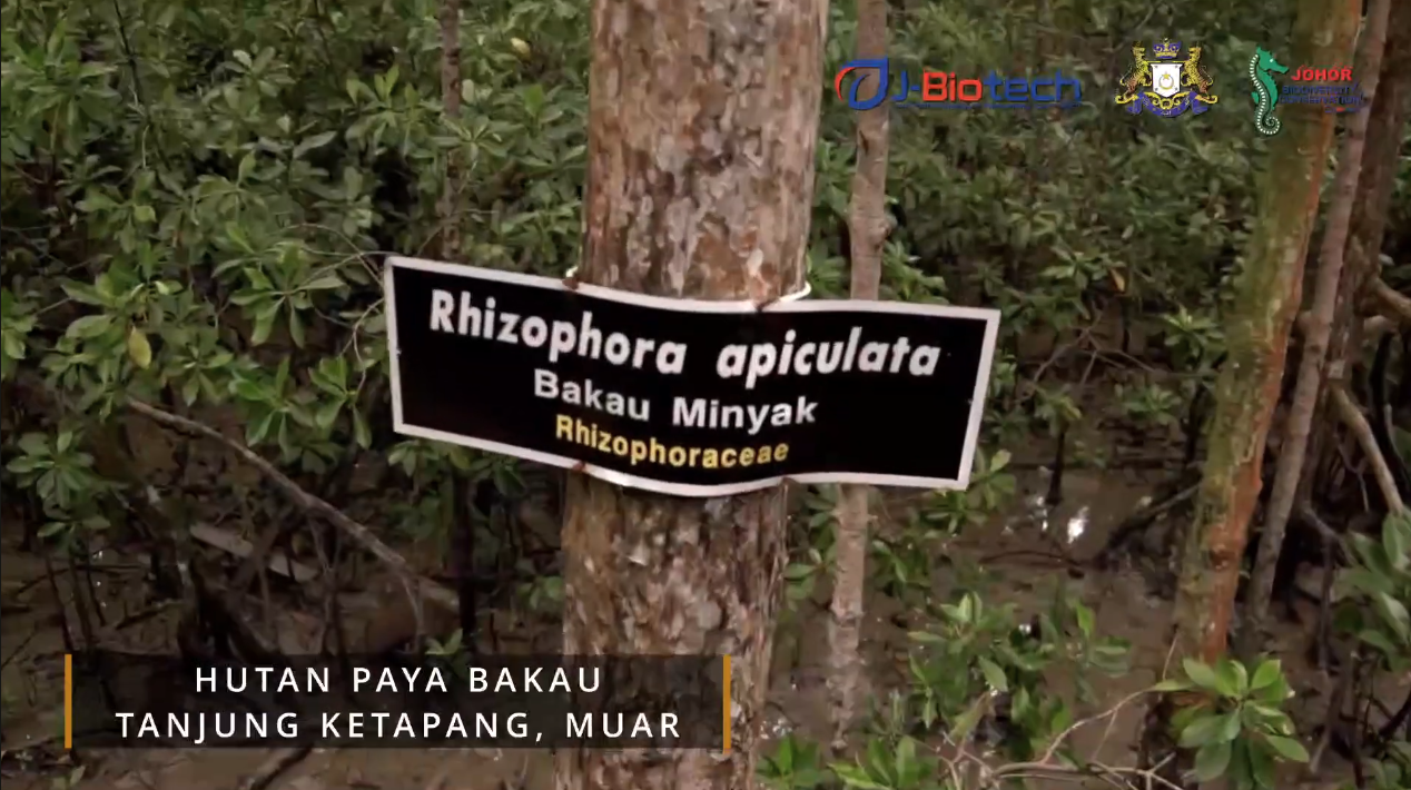 Johor Biotech - Pertumbuhan Bioekonomi Johor | Johor Biotech Malaysia | Johor Biotech Agency | Agensi Bioteknologi Johor | Bioteknologi Johor Darul Ta’zim | Inisiatif Bioteknologi Johor | Pembangunan Bioteknologi Johor | Ekosistem Bioteknologi Johor | Pelaburan Bioteknologi Johor | Penyelidikan & Pembangunan Bioteknologi | R&D Bioteknologi Malaysia | Inovasi Bioteknologi Johor | Teknologi Bioindustri Johor | Bioteknologi Pertanian Johor | Bioteknologi Makanan Johor | Bioteknologi Kesihatan Johor | Bioekonomi Johor | Bioekonomi Malaysia | Pusat Bioteknologi Johor | Sokongan Industri Bioteknologi | Pemindahan Teknologi Bioteknologi | Komersialisasi Bioteknologi | Startup Bioteknologi Johor | PKS Bioteknologi Johor | Dana & Geran Bioteknologi | Pembangunan Industri Bio | Rantaian Nilai Bioteknologi | Hab Bioteknologi Selatan Malaysia | Bioteknologi Lestari Johor | Inovasi Sains Hayat Johor | Sains Hayat Malaysia | Penyelidikan Saintifik Johor | Kerjasama Industri & Akademia | Pemerkasaan Bioindustri | Teknologi Hijau & Bioteknologi | Bioteknologi Marin Johor | Bioteknologi Perladangan | Bioteknologi Akuakultur Johor | Bioteknologi Halal | Keselamatan Makanan Bioteknologi | Pembangunan Modal Insan Bioteknologi | Latihan & Inkubator Bioteknologi | Dasar Bioteknologi Johor | Agenda Inovasi Johor | Transformasi Ekonomi Johor | Bioteknologi Berimpak Tinggi | Teknologi Mampan Johor | Penyelidikan Berasaskan Inovasi | Agensi Pembangunan Bioteknologi | 柔佛生物科技机构 | 柔佛生物科技发展 | 马来西亚生物科技 | 柔佛生物经济 | 生物科技创新 | Johor Biotechnology Agency | Biotechnology Development Johor | Malaysia Biotechnology | Johor Bioeconomy | Biotechnology Innovation