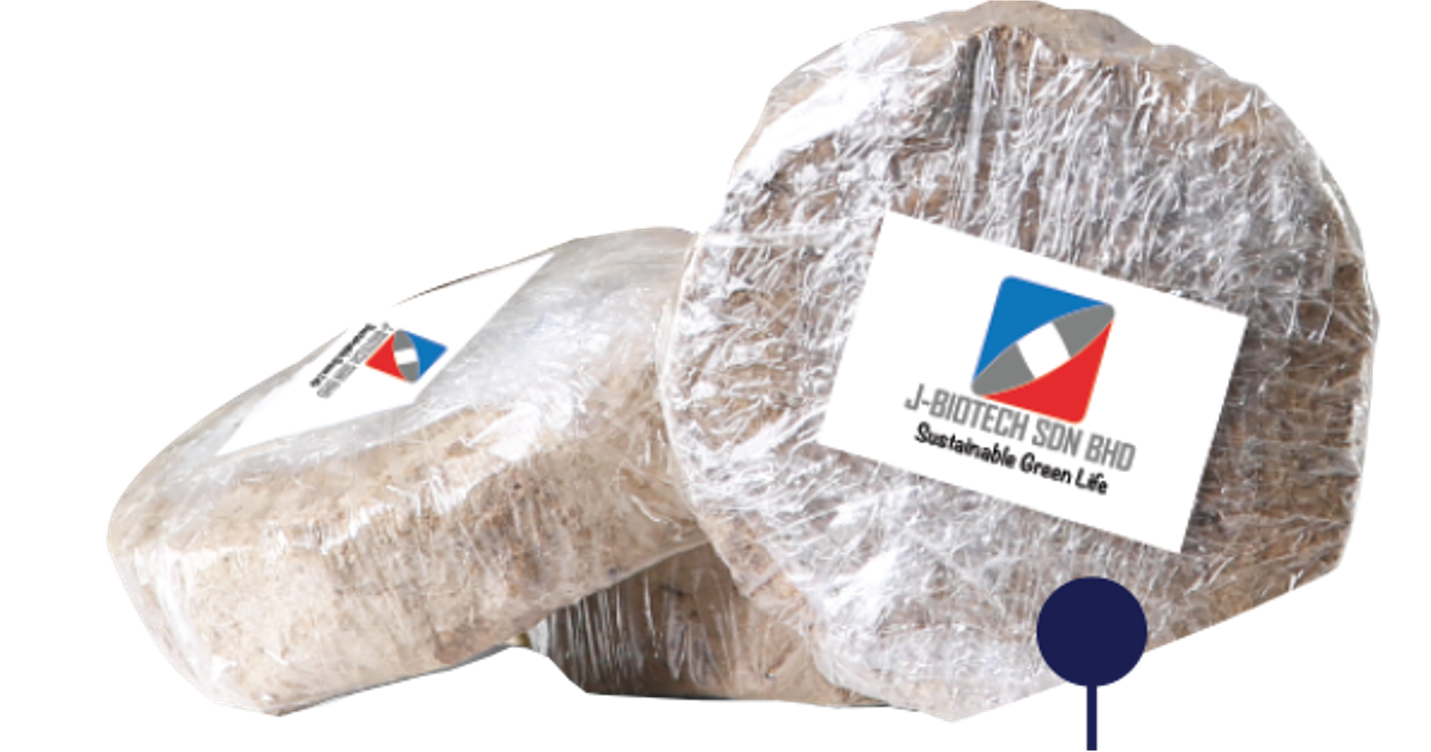 Johor Biotech - Pertumbuhan Bioekonomi Johor | Johor Biotech Malaysia | Johor Biotech Agency | Agensi Bioteknologi Johor | Bioteknologi Johor Darul Ta’zim | Inisiatif Bioteknologi Johor | Pembangunan Bioteknologi Johor | Ekosistem Bioteknologi Johor | Pelaburan Bioteknologi Johor | Penyelidikan & Pembangunan Bioteknologi | R&D Bioteknologi Malaysia | Inovasi Bioteknologi Johor | Teknologi Bioindustri Johor | Bioteknologi Pertanian Johor | Bioteknologi Makanan Johor | Bioteknologi Kesihatan Johor | Bioekonomi Johor | Bioekonomi Malaysia | Pusat Bioteknologi Johor | Sokongan Industri Bioteknologi | Pemindahan Teknologi Bioteknologi | Komersialisasi Bioteknologi | Startup Bioteknologi Johor | PKS Bioteknologi Johor | Dana & Geran Bioteknologi | Pembangunan Industri Bio | Rantaian Nilai Bioteknologi | Hab Bioteknologi Selatan Malaysia | Bioteknologi Lestari Johor | Inovasi Sains Hayat Johor | Sains Hayat Malaysia | Penyelidikan Saintifik Johor | Kerjasama Industri & Akademia | Pemerkasaan Bioindustri | Teknologi Hijau & Bioteknologi | Bioteknologi Marin Johor | Bioteknologi Perladangan | Bioteknologi Akuakultur Johor | Bioteknologi Halal | Keselamatan Makanan Bioteknologi | Pembangunan Modal Insan Bioteknologi | Latihan & Inkubator Bioteknologi | Dasar Bioteknologi Johor | Agenda Inovasi Johor | Transformasi Ekonomi Johor | Bioteknologi Berimpak Tinggi | Teknologi Mampan Johor | Penyelidikan Berasaskan Inovasi | Agensi Pembangunan Bioteknologi | 柔佛生物科技机构 | 柔佛生物科技发展 | 马来西亚生物科技 | 柔佛生物经济 | 生物科技创新 | Johor Biotechnology Agency | Biotechnology Development Johor | Malaysia Biotechnology | Johor Bioeconomy | Biotechnology Innovation