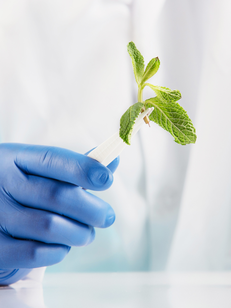 Johor Biotech - Pertumbuhan Bioekonomi Johor | Johor Biotech Malaysia | Johor Biotech Agency | Agensi Bioteknologi Johor | Bioteknologi Johor Darul Ta’zim | Inisiatif Bioteknologi Johor | Pembangunan Bioteknologi Johor | Ekosistem Bioteknologi Johor | Pelaburan Bioteknologi Johor | Penyelidikan & Pembangunan Bioteknologi | R&D Bioteknologi Malaysia | Inovasi Bioteknologi Johor | Teknologi Bioindustri Johor | Bioteknologi Pertanian Johor | Bioteknologi Makanan Johor | Bioteknologi Kesihatan Johor | Bioekonomi Johor | Bioekonomi Malaysia | Pusat Bioteknologi Johor | Sokongan Industri Bioteknologi | Pemindahan Teknologi Bioteknologi | Komersialisasi Bioteknologi | Startup Bioteknologi Johor | PKS Bioteknologi Johor | Dana & Geran Bioteknologi | Pembangunan Industri Bio | Rantaian Nilai Bioteknologi | Hab Bioteknologi Selatan Malaysia | Bioteknologi Lestari Johor | Inovasi Sains Hayat Johor | Sains Hayat Malaysia | Penyelidikan Saintifik Johor | Kerjasama Industri & Akademia | Pemerkasaan Bioindustri | Teknologi Hijau & Bioteknologi | Bioteknologi Marin Johor | Bioteknologi Perladangan | Bioteknologi Akuakultur Johor | Bioteknologi Halal | Keselamatan Makanan Bioteknologi | Pembangunan Modal Insan Bioteknologi | Latihan & Inkubator Bioteknologi | Dasar Bioteknologi Johor | Agenda Inovasi Johor | Transformasi Ekonomi Johor | Bioteknologi Berimpak Tinggi | Teknologi Mampan Johor | Penyelidikan Berasaskan Inovasi | Agensi Pembangunan Bioteknologi | 柔佛生物科技机构 | 柔佛生物科技发展 | 马来西亚生物科技 | 柔佛生物经济 | 生物科技创新 | Johor Biotechnology Agency | Biotechnology Development Johor | Malaysia Biotechnology | Johor Bioeconomy | Biotechnology Innovation